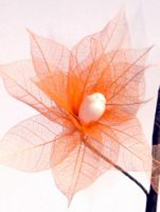 Composition Florale à partir de feuilles d'hévéa filigrane et teintées
