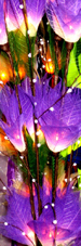 bouquet tige florale lumineuse