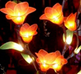 bouquet tige florale lumineuse