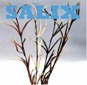 stem home decoration Art Deco SALIX